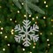 Northlight Glitter Drenched Wooden Snowflake Christmas Ornament - 8.75" - Silver Tone